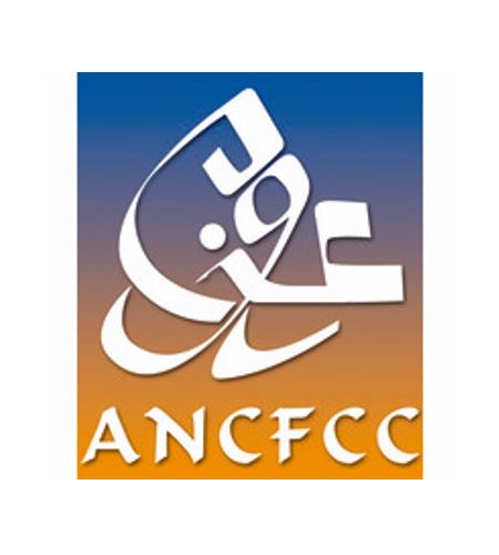 ANCFCC